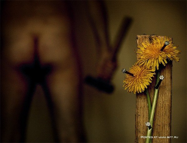 Still Life... George Rustchev - 13