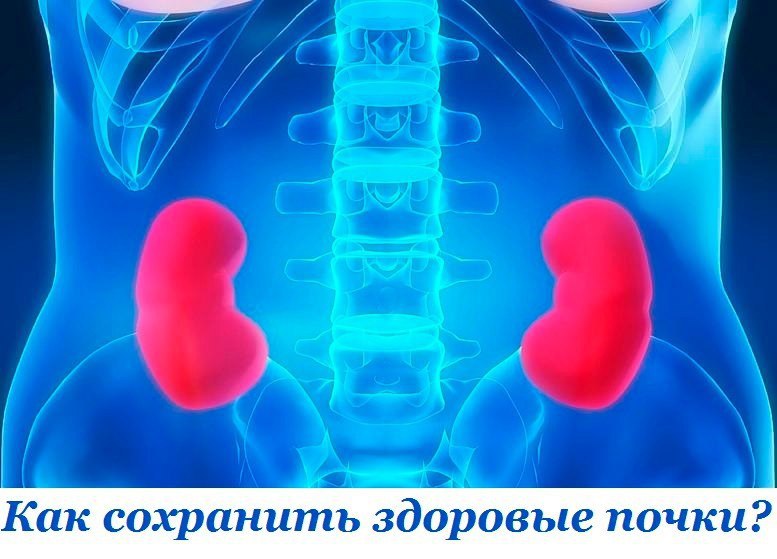 Как сохранить здоровые почки? 8 элементарных советов, которые уберегут тебя от появления недуга. ...