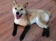 ��������� ����� � ����� - 3