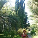 ���� �����, ������������ - ��������� 7 ������� 2016 � ������ ��������.�