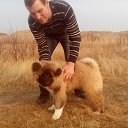 ���� ������, ���������, 53 ���� - ��������� 6 ������ 2015 � ������ ���� ����������