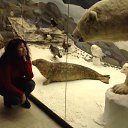 ���� �������, ������, 51 ��� - ��������� 6 ����� 2016 � ������ ���� ����������