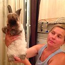 ���� ������, �������� - ��������� 2 ������� 2016 � ������ ���� ����������