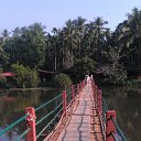���� �����, ���������, 61 ��� - ��������� 2 ������ 2016 � ������ ���� ������� 2015 ���