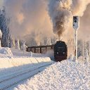 ���� E2li, �����, 52 ���� - ��������� 5 ������ 2015 � ������ ������ ��������