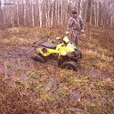 ���� ������, ����������-���������, 44 ���� - ��������� 31 ������� 2015 � ������ ����������