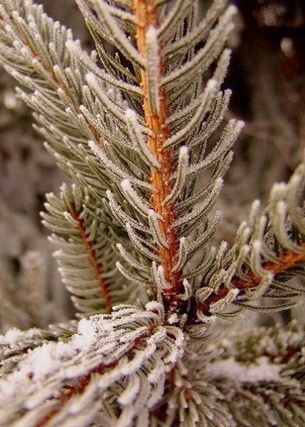    - 14  2015  15:36 - 4