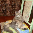 ���� Mishell538468, �������, 55 ��� - ��������� 3 ������ 2016