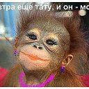 ���� ����, ������, 44 ���� - ��������� 9 ������� 2015 � ������ ���� ����������
