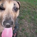 ���� �������� �����������, �������� - ��������� 25 ������� 2015