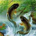 ���� ������, ������� ��������, 54 ���� - ��������� 26 ������� 2015 � ������ ���� ����������