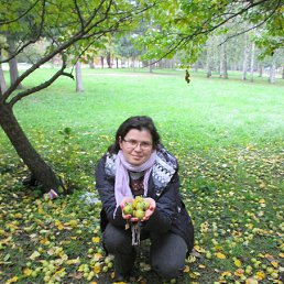 ���� �����, ������������, 41 ��� - ��������� 2 ������� 2016