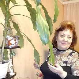 ���� �������, ���������, 67 ��� - ��������� 10 ����� 2016