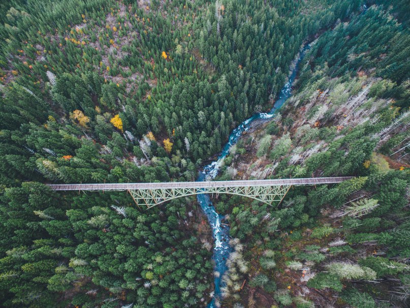 Vance Creek Bridge, Washington