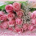 ���� �������, ������, 46 ��� - ��������� 26 ������ 2016 � ������ �������� ��������