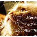 ���� ���������, ������ �����, 46 ��� - ��������� 23 ������ 2016