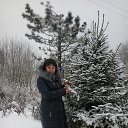 ���� ��������, �����-���������, 56 ��� - ��������� 11 ������ 2016