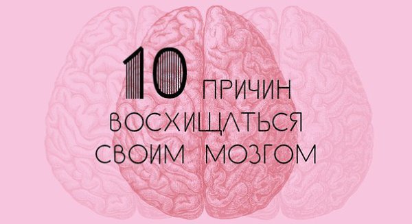 мозг работает продуктивно ясно