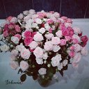 ���� ����, �������, 51 ��� - ��������� 7 ������ 2015 � ������ ������ ��������