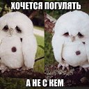 ���� �������, ����, 46 ��� - ��������� 29 �������� 2015