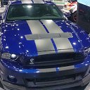 ���� ��������, �����-��������� - ��������� 2 ������� 2015 � ������ �Royal auto show�