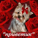 ���� ������, ���������� �����, 56 ��� - ��������� 7 ������ 2015 � ������ ������ ��������