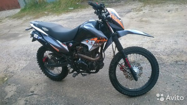     - Nexsus XT-250   ,   ... - 3