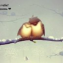 ���� Svetlana, �����������, 54 ���� - ��������� 1 ����� 2016 � ������ ������ ��������
