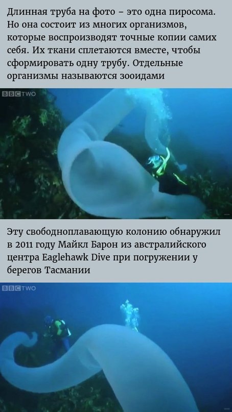          ? ,     ... - 2