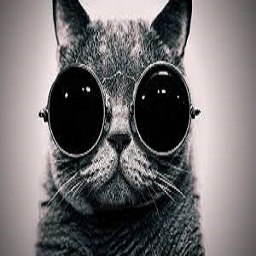 ���� ����, ������������, 39 ��� - ��������� 13 ������� 2015