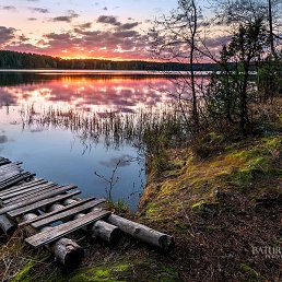 ���� Strannik, �����, 37 ��� - ��������� 26 ������ 2016