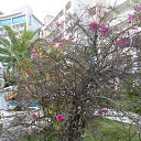 ���� �������, ������������, 68 ��� - ��������� 4 ������� 2015 � ������ ���� ����������