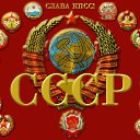  , , 51  -  9  2015   cccp