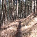 ���� ���������, �����������, 69 ��� - ��������� 1 ����� 2016 � ������ ���������!.�����. ������ 2016�