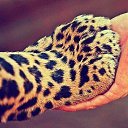 ���� �������, ����� ������, 55 ��� - ��������� 19 ������� 2016 � ������ ������ ��������