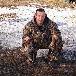 �����, ������, 41 ���