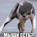 ���� �����, ����, 46 ��� - ��������� 6 ������� 2015 � ������ ���� ����������