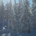 ���� ������, �����������, 68 ��� - ��������� 3 ����� 2016 � ������ ���� ����������