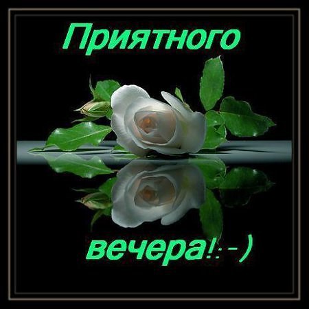     - 24  2016  13:44