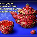 ���� ���, ��������, 51 ��� - ��������� 21 ������� 2015 � ������ ������ ��������