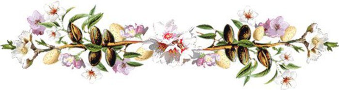 Ребёнок, окружённый критикой — учится обвинять.Ребёнок, окружённый насмешками — учится быть ...