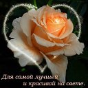 ���� ���������, �����-���������, 50 ��� - ��������� 12 ������� 2015 � ������ ���� ����������