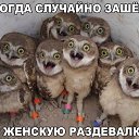 ���� ������, �������, 56 ��� - ��������� 26 ������ 2016 � ������ ������ ��������