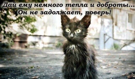 ЛЮДИ!!!! ПОЧЕМУ ВЫ НАС БРОСИЛИ???!!!!(((.https://vk.com/cdangels ПОЧЕМУ ВЫ ВСПОМИНАЕТЕ ПРО НАС , ... - 2