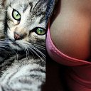 ���� ����, �����, 38 ��� - ��������� 26 �������� 2015 � ������ �������