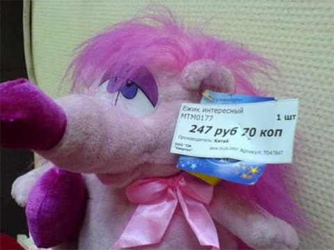     - 5  2015  21:13