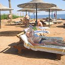 ���� ��� ���� - 2015 �� ������� ���� ����������