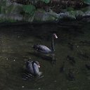 ��� ��� �������� � ������ �������, ��� ��� ������� ����... �� ������� ������ ��������