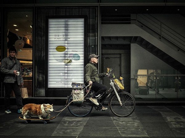   National Geographic - 12