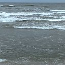  Skoj,  -  2  2016   --2015-16.